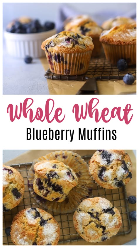 Fluffy Blueberry Muffins, Wheat Blueberry Muffins, Wheat Berry Recipes, Whole Wheat Blueberry Muffins, Wheat Flour Recipes, Whole Wheat Muffins, Healthy Blueberry Muffins, Wheat Recipes, Berry Muffins