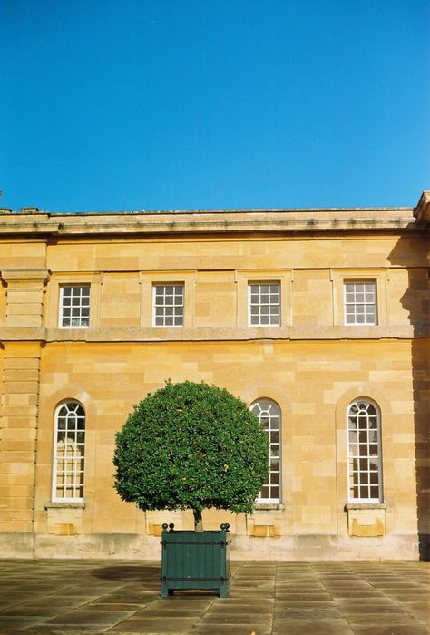 Lone Tree at Bleinham Palace | photography by http://urskadomen.si/en/ Bleinham Palace, Palace Photography, Lone Tree, Old Money, Palace, Road Trip, England, Money, Photography