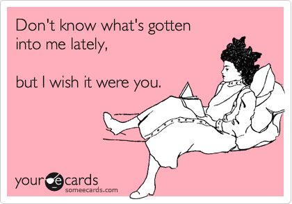 Don't know what's gotten into me lately, but I wish it were you. | Flirting Ecard | someecards.com Flirty Memes, I Need A Boyfriend, Funny Pick, Pick Up Lines Cheesy, Pick Up Lines Funny, Pick Up Lines, E Card, Ecards Funny, Someecards