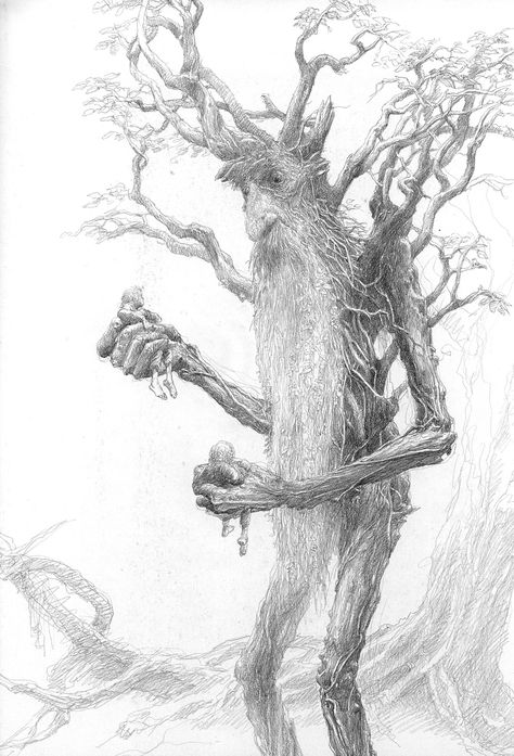 Alan Lee- Treebeard. Lord of the rings concept art Lord Of Rings, Alan Lee, John Howe, Peter Jackson, Tree People, Lotr Art, Tolkien Art, The Two Towers, Church Architecture