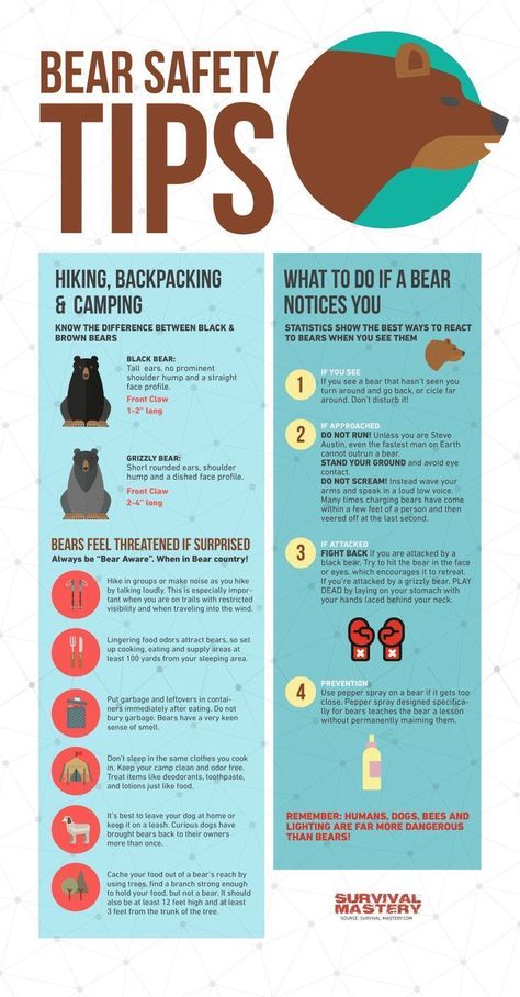 Bear Safety Tips Bear Safety, Camping Safety, Hiking Essentials, Hunting Tips, Hiking Backpacking, Backpacking Tips, Hiking Tips, Camping Essentials, Camping Survival