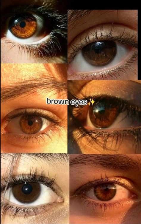 Pretty Eyes Color, Brown Eyes Aesthetic, University Of California San Diego, Pretty Brown Eyes, California San Diego, Beautiful Eyes Color, Types Of Eyes, Aesthetic Eyes, Hazel Eyes