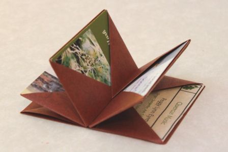 Fold Out Book Design, Unusual Book Binding, Book Making Aesthetic, Artist Books Ideas, Blizzard Book, Hedi Kyle, Origami Card, Card Carrier, Bookbinding Tutorial