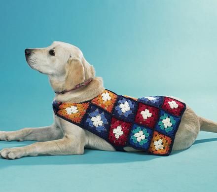 Granny square dog sweater!  Definitely have to make one for the pupperdog. Granny Square Dog, Knitted Dog Sweater Pattern, Large Dog Sweaters, Crochet Dog Clothes, Dog Sweater Crochet Pattern, Crochet Granny Square Afghan, Dog Sweater Pattern, Crochet Dog Sweater, Knit Dog Sweater