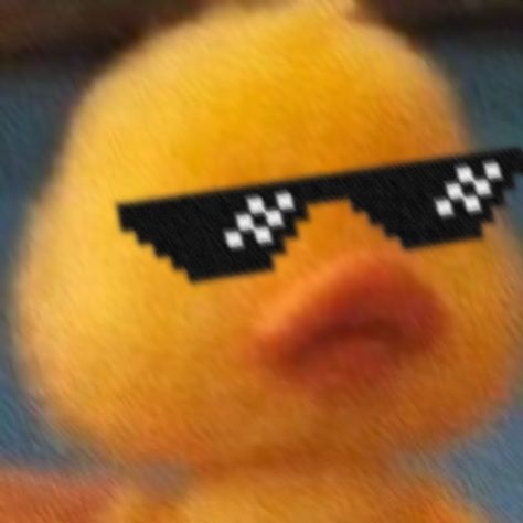 Cute Duck Profile Picture, Chicken Pfp, Icons Random, Duck Pictures, Cute Ducklings, Cute Easy Doodles, Funny Duck, Easy Doodles, Duck Toy