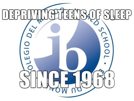 Ib Memes Funny, Programming Quote, International Baccalaureate, College Motivation, High School Hacks, Doing Nothing, Work Hard Play Hard, School Memes, Sleep Well