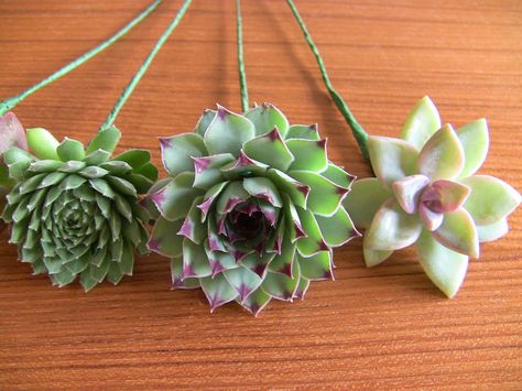 DIY Succulent Bouquet - Succulent Wedding Bouquets & Arrangements Bouquet Arrangements Diy, Wedding Bouquet Arrangements, Bouquet Succulent, Succulent Bouquet Wedding, Wedding Flower Guide, Succulent Bouquet, Flower Guide, Bridesmaid Bouquets, Succulent Wedding