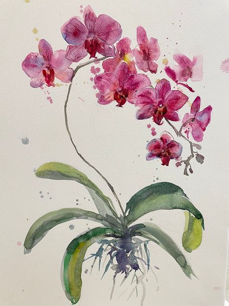 Simple Orchid Painting, Orchid Flower Watercolor, Orchid Art Painting, Orchid Watercolor Painting, Rose Drawing Ideas, Orchids Watercolor, Watercolor Orchids, Sketch Rose, Orchid Watercolor