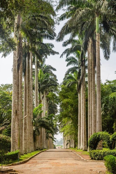 Aethstetic Places, Ghana Beach Aesthetic, Ghana Wallpaper, Ghana Nature, Ghana Aesthetic, Travel Ghana, African Scenery, Ghana Culture, African Beach