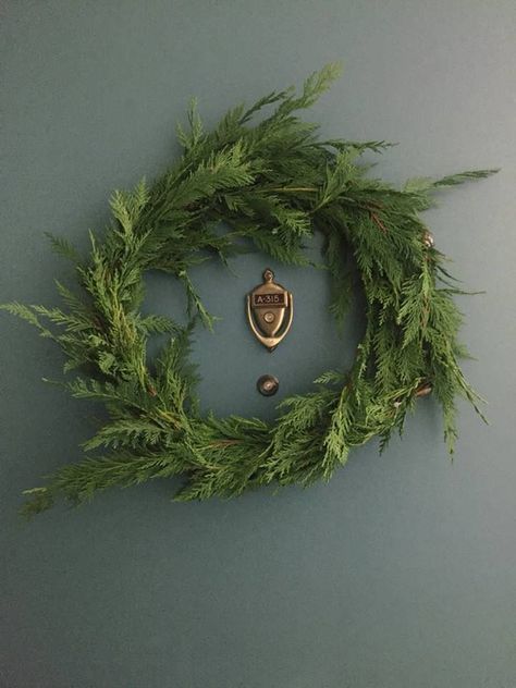 Cypress Wreath, The Magic, Christmas Diy, Christmas Wreaths, The Internet, Christmas Crafts, Wreath, Entertainment, Internet