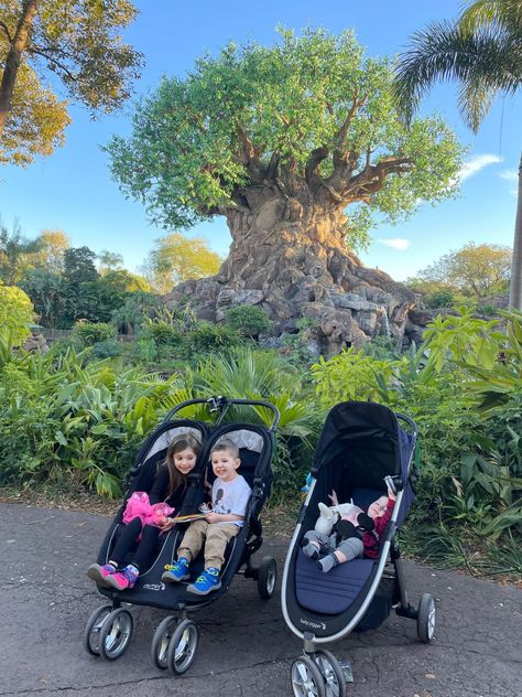 The 6 Best Double Strollers for Disney World or Disney Land - Just Simply Mom Best Double Stroller For Disney, Stroller For Disney World, Joovy Caboose, Disney Stroller, First And Middle Names, Strollers At Disney World, Boy Middle Names, Best Double Stroller, Double Stroller