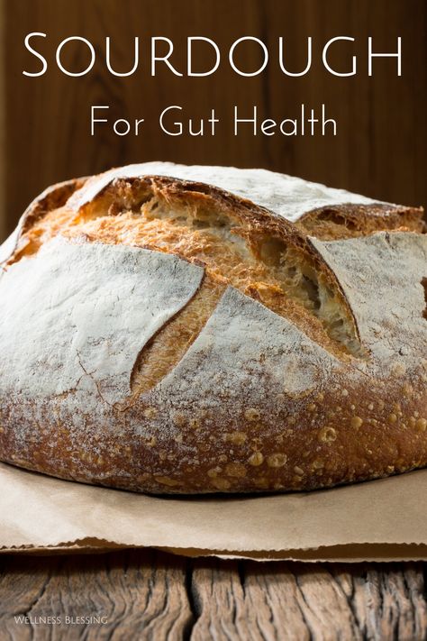 How sourdough bread supports gut health. #sourdough #bread #guthealth #microbiome Healthy Homemade Sourdough Bread, How To Make Healthy Sourdough Bread, Fermented Sourdough Bread, Sourdough Bread Gut Health, Gut Healthy Bread Recipe, Healthy Sourdough Bread Recipe, Sourdough Bread Health Benefits, Benefits Of Sourdough Bread Health, Healthiest Sourdough Bread