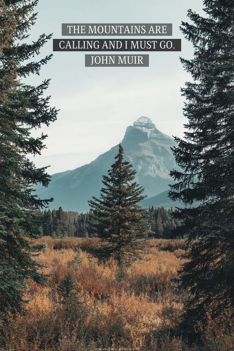 #johnmuir #mountainquotes #sky #landscape #nature #beautifulviewofnature #moutain love #love nature #quotes are love #nature quote The Mountains Are Calling And I Must Go, John Muir Quotes Mountain, Mountain Quotes, John Muir Quotes, Aesthetic 2024, Mountain Background, Misty Mountains, Mountain Girl, Mountains Are Calling