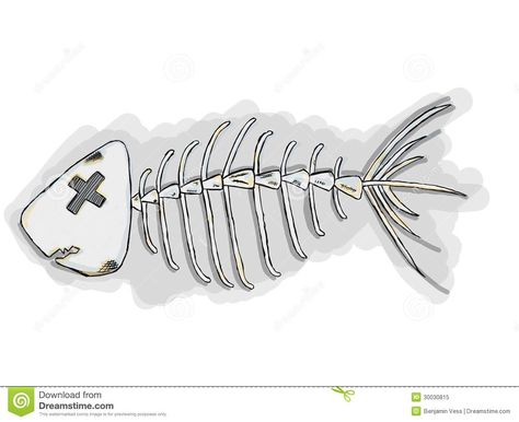 Cartoon Fish Bones - Download From Over 35 Million High Quality Stock Photos, Images, Vectors. Sign up for FREE today. Image: 30030815 Fishbone Drawing, Fish Bone Tattoo, Skull Game, Bone Tattoo, Tiny Fish, Fish Skeleton, Fish Bones, Bone Stock, Bone Tattoos