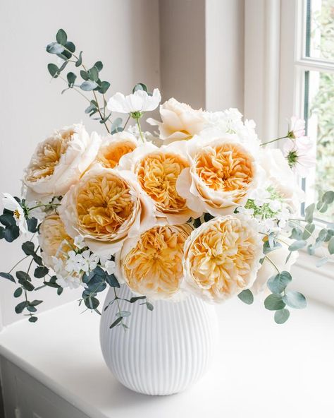 David Austin Wedding, Wedding Roses, Austin Rose, Fragrant Roses, Bridal Bouquet Fall, Wedding Rose, Rose Arrangements, Rose Vase, Rose Fragrance