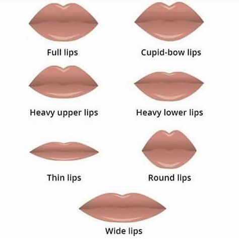 Which one is you? #repost #everydaywigscom cr: @bycontour Cupids Bow Lips, Heart Shaped Lips, Cupids Bow, Lip Shapes, Full Lips, Makeup Guide, Makeup For Teens, Upper Lip, Clown Makeup