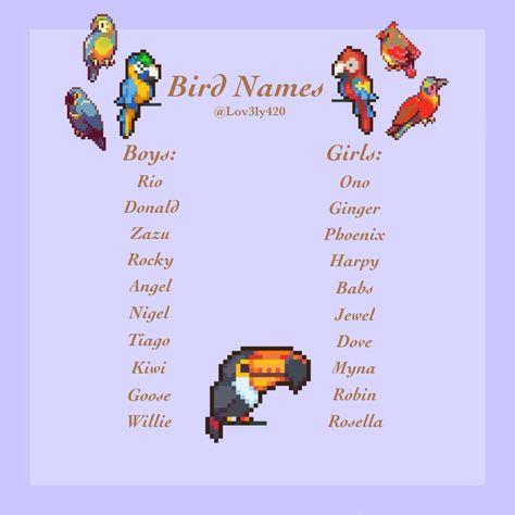 Bird Pet Names, Pet Bird Names Ideas, Names For Pet Birds, Bird Nicknames, Bird Names For Babies, Names For Parrots, Bird Names Ideas, Pet Bird Names, Parrot Names