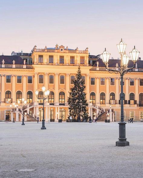 Vienna 🇦🇹 (@vienna_austria) posted on Instagram: “Take a look inside Schönbrunn Palace 😍 📸 @astrid_in_vienna & @sabrinaceddia #vienna_austria #vienna #austria #winter #igersaustria…” • Jan 4, 2021 at 6:36pm UTC Vienna Austria Winter, Austria Landscape, Sunset Christmas, Austria Winter, Schönbrunn Palace, Austria Vienna, Christmas In Europe, Winter City, Christmas Markets