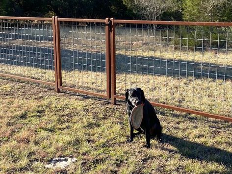 Dog Yard Fence, Outdoor Dog Area, Yard Fencing, Farm Fencing, Pipe Fence, Dog Backyard, Ranch Fencing, Ranch Ideas, Deer Fence