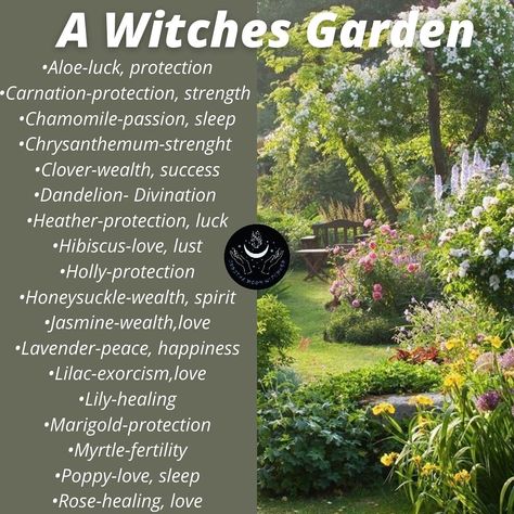 List of garden magickal uses Practical Magic Garden Aesthetic, Wicca Garden Ideas, Witchcraft Garden, Witchy Landscaping, Witchy Plants And Meanings, Witchy Outdoor Space, Gardening Witchcraft, Wicca Plants, Flowers For Protection Witchcraft