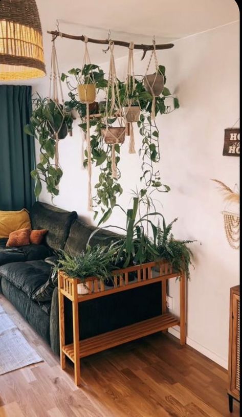 High Ceiling Plant Hanging, Wall Colors For Plant Room, Plant Room Living Room, Pothos Decor Ideas, How To Decorate With Plants, Hanging Plants In Front Of Window, Ideas For Small Home, Hanging Plant Ideas, Koti Diy