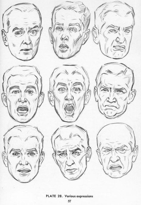 Andrew Loomis male expressions Human Face Drawing, Facial Expressions Drawing, Drawing Face Expressions, 얼굴 드로잉, 얼굴 그리기, Drawing Heads, Face Sketch, Figure Sketching, Cartoon Sketches