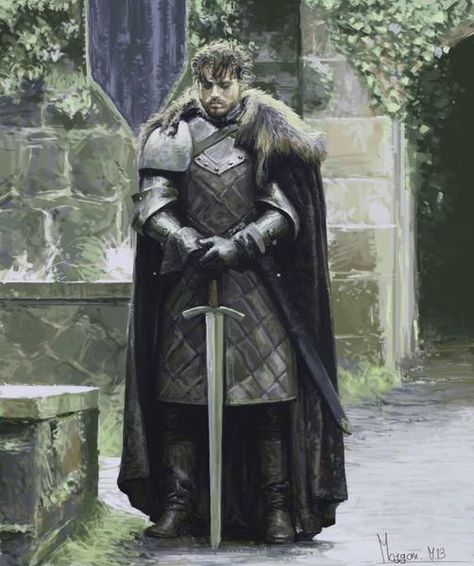 The King In The North, Medieval Army, Medieval Tattoo, Fantasy Universe, Game Of Thrones Artwork, Robb Stark, Got Game Of Thrones, Dark Power, King In The North