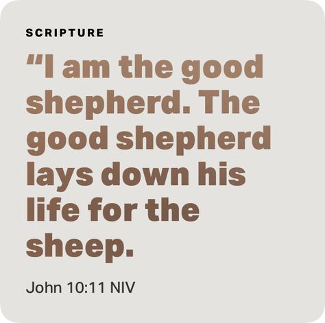 John 10 11, I Am The Good Shepherd, John 10, New American Standard Bible, Good Shepherd, Bible Versions, The Good Shepherd, The Sheep, Overcoming Fear