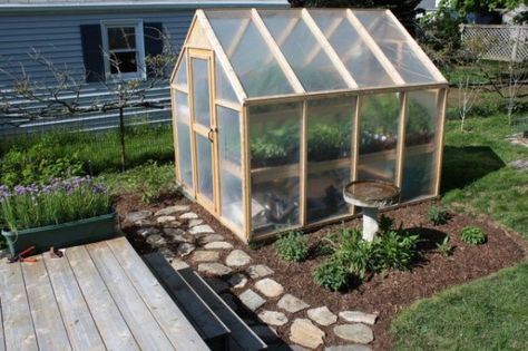 6x8 Greenhouse, Simple Greenhouse, Conservatory Ideas, Build A Greenhouse, Home Greenhouse, Plants Growing, Backyard Greenhouse, Small Greenhouse, Greenhouse Plans