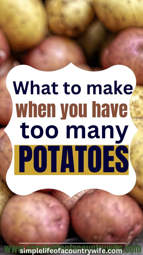 Recipes To Use Potatoes, Easy Cheap Potato Recipes, Bag Of Potatoes Recipes, Ways To Use Up Potatoes, Recipes For Baking Potatoes, What To Do With Lots Of Potatoes, Recipes To Use Up Potatoes, Things You Can Make With Potatoes, Dishes With Potatoes Dinners