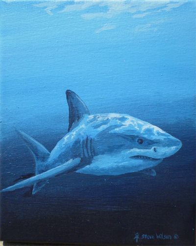 Easy Shark Painting On Canvas, Great White Shark Painting, Hammerhead Shark Painting Acrylic, Whale Shark Painting Acrylic, Ripped Canvas Art, Shark Painting Ideas, Under The Ocean Painting, Shark Painting Easy, Shark Acrylic Painting