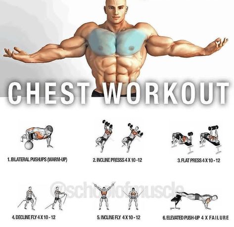 Chest workout on how to get a bigger chest and also workout . How to workout to get a big chest Upper Body Workout Gym, King Warrior, Workout Chest, Chest Exercises, Healthy Love, Fitness Gym Workout, Chest Workouts, Boxing Workout, Chest Workout