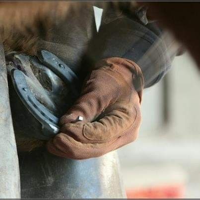 Horse Farrier Photography, Horse Farrier Aesthetic, Stable Hand Aesthetic, Farrier Aesthetic, Shoeing Horses, Horse Shoeing, Adriana Locke, Lotr Tattoo, Medieval Horse