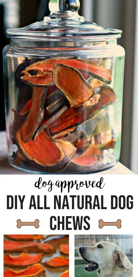 Diy Organic Dog Treats, Dog Treats Homemade To Sell, Easy Doggie Treats, Diy Doggie Treats Homemade, Mason Jar Dog Treats, Easy Homemade Puppy Treats, Dog Treat Recipes No Bake, Homemade Dog Gifts Easy Diy, Homemade Dog Treats For Training