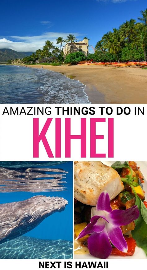 Are you on the lookout for the best things to do in Kihei on Maui? This is a guide to the best attractions in Kihei, including beaches, food, and more! | Kihei Things to do | What to do in Kihei | Kihei attractions | Places to visit in Maui | Maui day trips | Maui destinations | Places to visit in Kihei | Things to do in Maui | Kihei beaches | Kihei landmarks | Kihei restaurants | Kihei beer | Kihei travel guide | Kihei itinerary Maui Kihei, Molokini Crater, Best Hawaiian Island, Haleakala Sunrise, Maui Travel Guide, Hawaii Trip Planning, Maui Snorkeling, Maui Food, Maui Restaurants