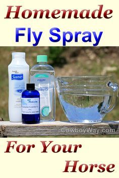 Natural Fly Spray For Horses, Homemade Fly Spray For Horses, Horse Fly Spray Recipe, Diy Horse Fly Spray, Diy Horse Stuff, Fly Remedies, Horse Fly Spray, Homemade Fly Spray, Natural Fly Repellant