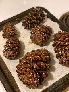 How To Bake Pinecones For Crafts, Pine Cone Tree Ornaments, Giant Pine Cone Crafts, Large Pine Cone Crafts Ideas, Cleaning Pinecones, Pine Cone Gnomes Diy, Pinecone Gifts, Pine Cone Animals, Large Pinecone Crafts