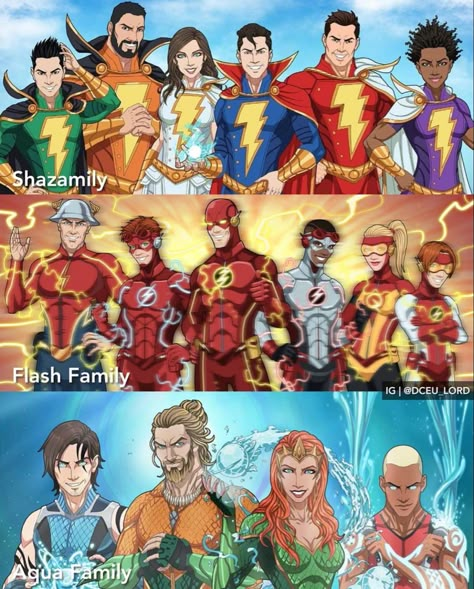 Flash Family Dc Comics, Super Family Dc, Flash X Batman, Dc Comics Art Wallpaper, The Flash Comic Art, Batman And Flash, Dc Young Justice, Dc Comics Villains, Flash Cartoon