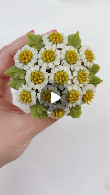 Kirsty on Instagram: "Cute little buttercream daisies ♥️ #buttercreamdream #cakemasters #cupcakeartist #cupcakeinspo  #caketutorial #pipingtips #ediblebouquet #edibleroses #floristandflowers #caketutorials #cupcakeinspo #cupcakeartist #cupcakeart #cupcakelove #customcupcakes #americanbuttercream #flowercupcakes #bakingreels #reelife #cupcakereels #cakedecoratingreel #cakereel #cakereels #buttercreampetals #buttercreamflower #cakeflower #flowercakes #handmadeflowers #pipingreels #buttercreamdecorating #pipingnozzles #bouquetofcupcakes" Piping Tips Chart, Buttercream Daisies, Edible Roses, Buttercream Decorating, Piping Flowers, Edible Bouquets, Butterfly Cake, Cupcake Art, Cupcake Bouquet