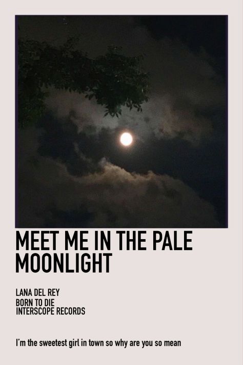 Meet Me In The Pale Moonlight, Lana Del Rey Polaroid Poster, Lana Del Rey Polaroid, Moonlight Poster, Moonlight Aesthetic, In The Pale Moonlight, Polaroid Poster, Sweet Girls, Lana Del Rey