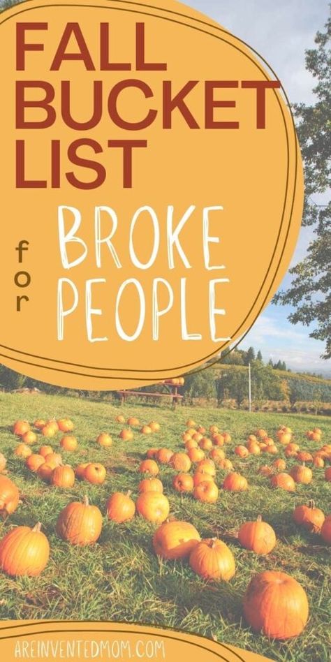 Fall Bucket List Ideas, Fall Family Fun, Thankful Tree, Fall Dates, Bucket List Ideas, Fun Fall Activities, Fall Bucket List, Cheap Crafts, Activities For Adults