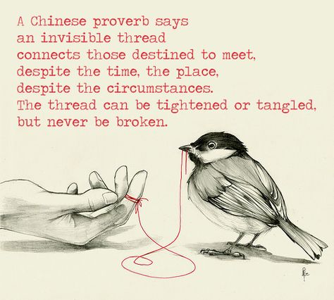 A Chinese proverb says an invisible thread connects those destined to meet, despite the time, the place, despite the circumstances. The thread can be tightened or tangled, but never be broken. Invisible Thread Between Two People, An Invisible Thread Quote, Golden Rule Quotes, Supernova Empath, Dear Soulmate, Chinese Sayings, Chinese Tattoos, Meaningful Stories, An Invisible Thread