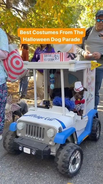 Dog Parade, Pet Parade, Halloween Dog, Dog Halloween Costumes, Dog Halloween, Which One Are You, Cool Costumes, Pet Care, Monster Trucks