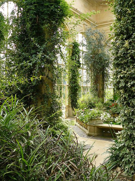 Look at this greenhouse or observatory! There's a pond! I love how the plants look like they're taking over the place. Castle Ashby - Orangery/ Jay Seedy Garden Atrium, Castle Ashby, Greenhouse Conservatory, Conservatory Sunroom, Victorian Conservatory, Victorian Greenhouses, Conservatory Garden, Garden Greenhouse, Garden Park