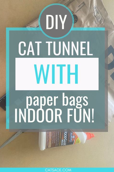 Create a fun DIY cat tunnel from paper bags to keep your indoor kitty entertained! 🐱 This easy project is eco-friendly and super engaging for cats! #DIYCatTunnel #IndoorCatActivities #EcoFriendlyPetDIY How To Keep Your Cat Entertained, Diy Cat Cave How To Make, Diy Cat Toys Interactive, Diy Cat Stuff Easy, Diy Cat Tower Easy Cheap, Cat Playground Indoor Diy, Diy Cat Tunnel, Cat Enrichment Diy, Diy Cat Enrichment