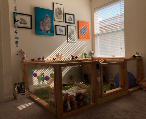 DIY Rabbit Enclosure Build Rabbit Cage, Indoor Rabbit Setup Diy, Rabbit Indoor House Ideas Diy, Bunny Necessities, Rabbit Habitat Indoor, Rabbit Indoor House Ideas, Rabbit Enclosure Indoor, House Rabbit Setup, Bunny Enclosure Indoor