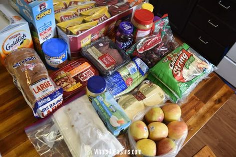 Cooler Food Ideas Road Trips, Car Trip Food, Road Trip Food Ideas, Trip Food Ideas, Disneyland Snacks, Ww Ideas, Trip Checklist, List Of Food, California Coast Road Trip