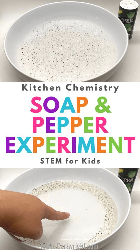 Super Easy Science Experiments, Easy Science Activities For Kindergarten, Montessori Preschool Activities Science Experiments, Simple 2nd Grade Science Experiments, Kitchen Chemistry For Preschool, Early Childhood Science Activities, Easy Pre K Science Experiments, Kindergarten Science Experiments At Home, Stem Activities Elementary Kindergarten Science Experiments