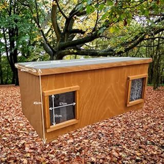 Heated Outdoor Cat House, Insulated Cat House, Cat Shelters, Feral Cat House, Wooden Cat House, Luxury Windows, Dangerous Situations, Moore House, Outdoor Cat Enclosure