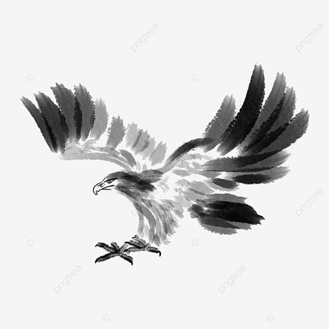 hand drawn eagle illustration,national emblem,grey eagle,flying eagle,eagle with wings,creative eagle illustration,eagle clipart,wings clipart,flying clipart,american eagle day,creative clipart Eagle Cartoon, Eagle Illustration, Eagle Png, Flying Bird Silhouette, Grey Eagle, Eagle Flying, National Emblem, Flying Eagle, Bird Silhouette